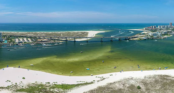 Orange Beach, AL Real Estate & Homes for Sale